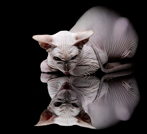 中国体育界携手推动篮球运动“走出去”，拓展国际市场，中国篮球体制建设的发展