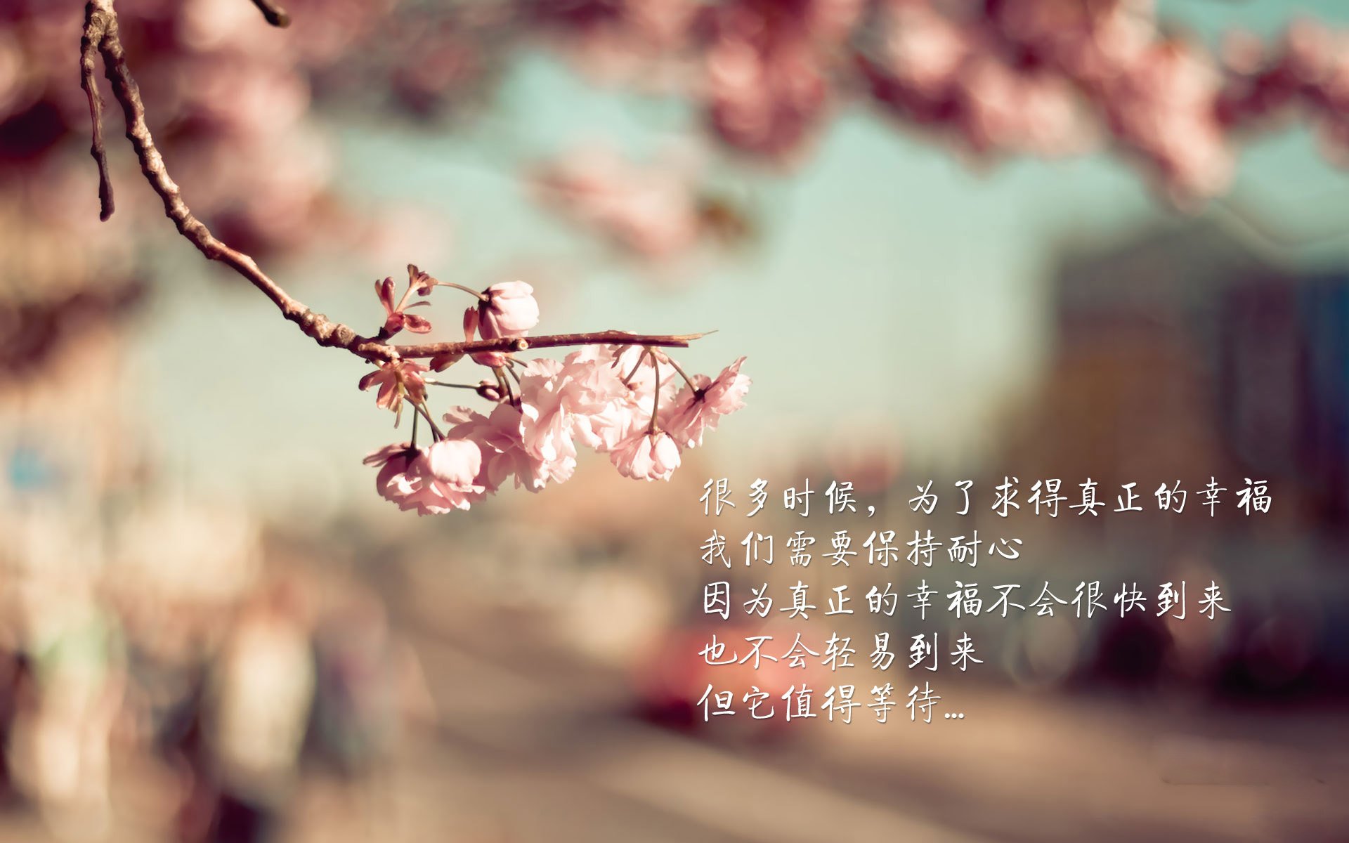 九游sports-国际名将来华参赛，提升中国足球国际影响力，中国足球国家队引进外籍